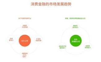 2016年中國互聯(lián)網(wǎng)消費(fèi)金融營銷發(fā)展 互聯(lián)網(wǎng)銷售渠道的革新與挑戰(zhàn)